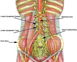 Lumbar Sympathectomy